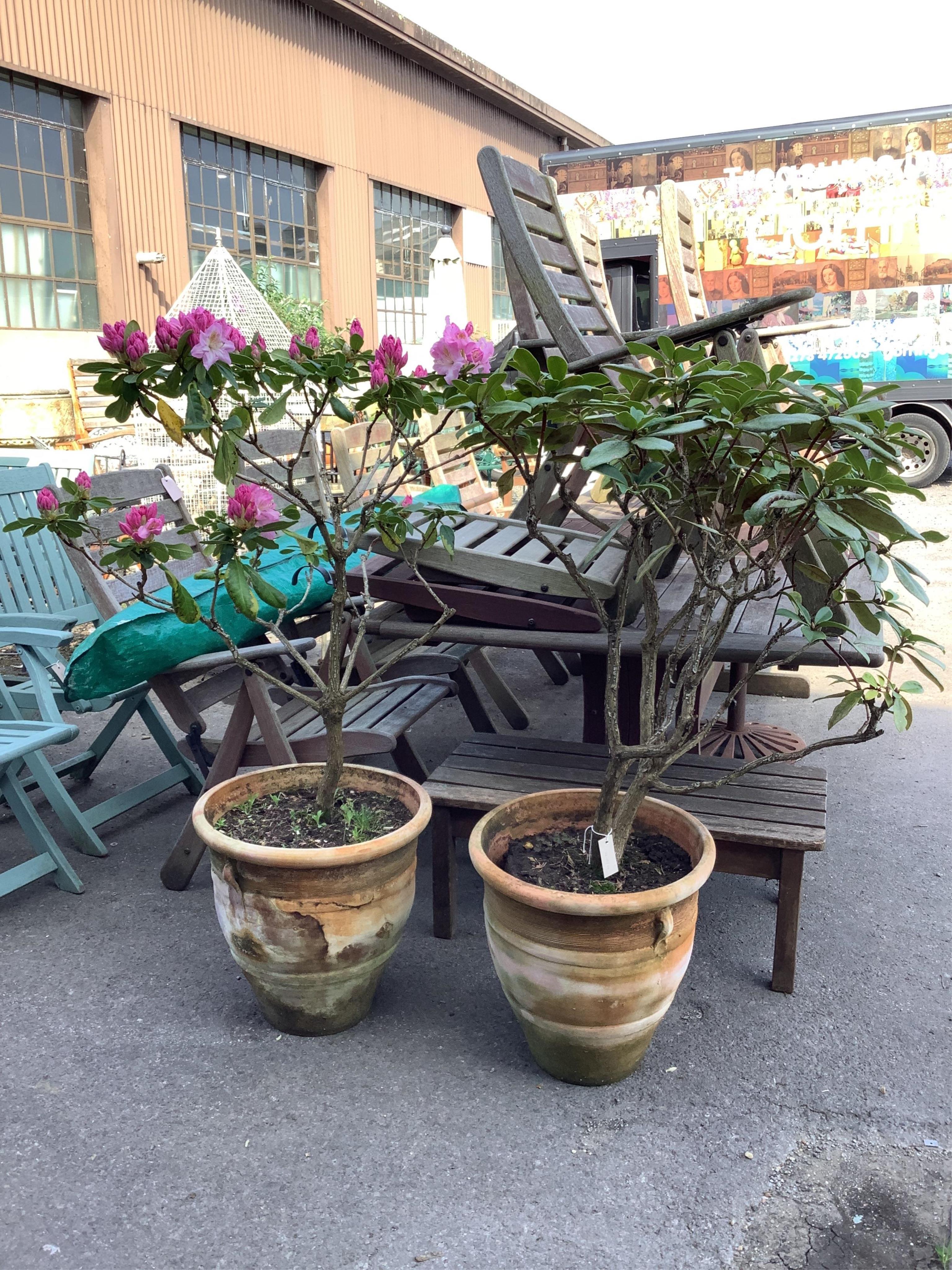 A pair of circular terracotta garden planters, diameter 46cm, height 45cm